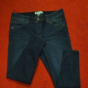 Democracy Deep Indigo Skinny Jeans